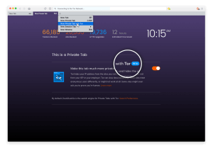 brave browser reddit privacy